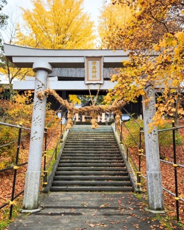 紅葉をバックにした鳥居の写真