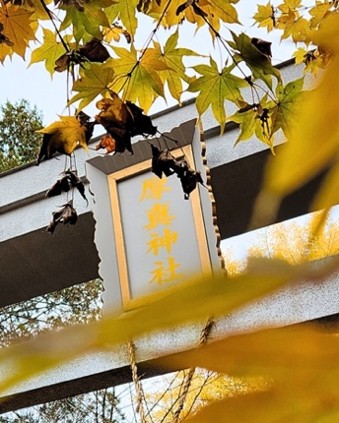 紅葉と社号額の写真
