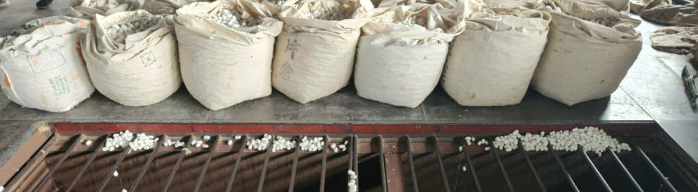 検品をした繭を乾燥機の中に1