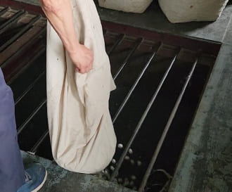 検品をした繭を乾燥機の中に3