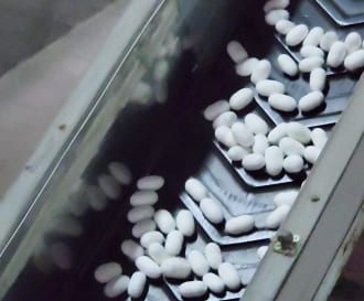 繭が機械の中で運ばれていく様子2