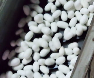 繭が機械の中で運ばれていく様子3