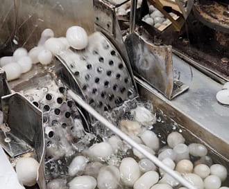 繭を煮て糸のほぐれを良くする1