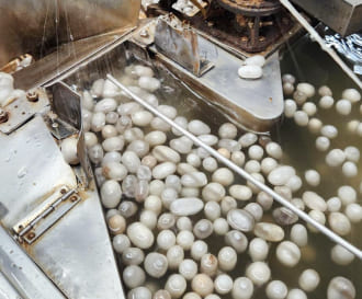 繭を煮て糸のほぐれを良くする3