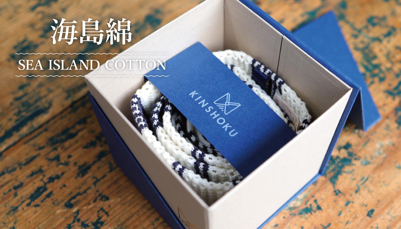 海島綿（かいとうめん/Sea Island Cotton）のニットタイ│SEIWA ONLINE